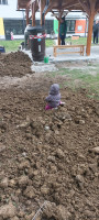 /album/fotogaleria-aktivita-c-3-vytvorenie-enviroucebne/1713938077926-jpg/