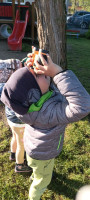 /album/fotogaleria-aktivita-c-4-edukacne-enviromentalne-aktivity-v-enviroucebni/img-20240426-072359-jpg/