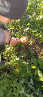 /album/fotogaleria-aktivita-c-4-edukacne-enviromentalne-aktivity-v-enviroucebni/img-20240426-072304-jpg/